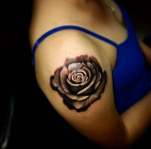 Rose Shoulder